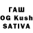 Каннабис White Widow Jenishbek Egemberdiev