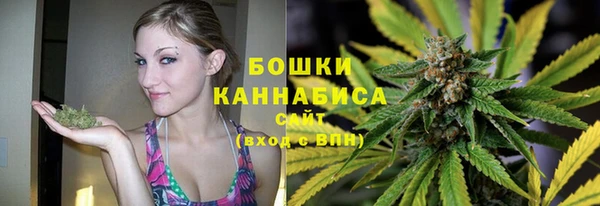 дурь Верхний Тагил