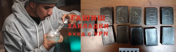 PSILOCYBIN Бородино