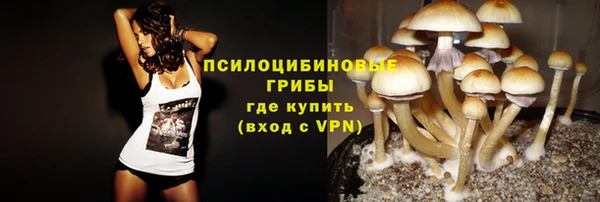 PSILOCYBIN Бородино