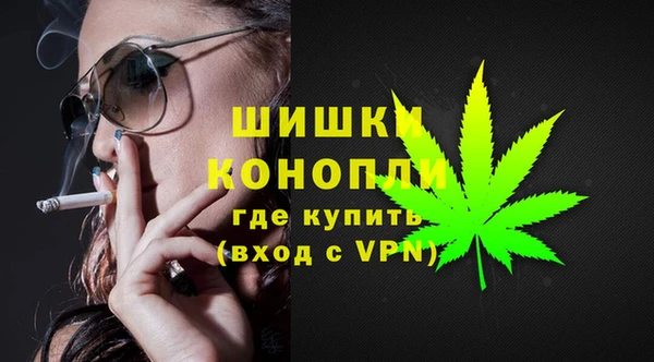 дживик Бронницы