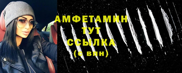 PSILOCYBIN Бородино